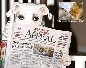 Pit bull reads newspaper picture inset
with cats